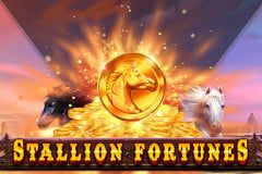 Stallion Fortunes