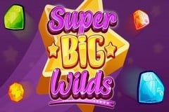 Super Big Wilds