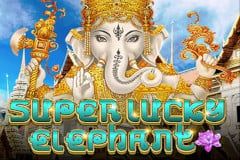 Super Lucky Elephant