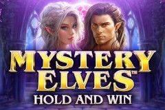 Mystery Elves™