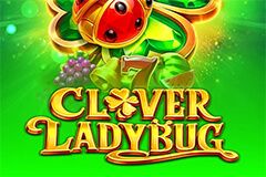 Clover Ladybug