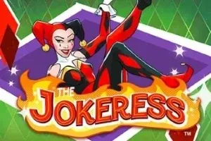 The Jokeress™