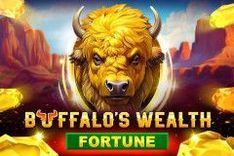 Buffalo's Wealth Fortune