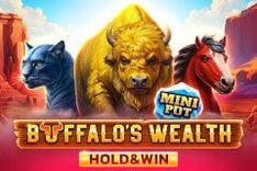 Buffalo's Wealth Hold & Win