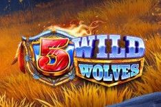5 Wild Wolves