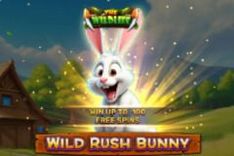 Wild Rush Bunny