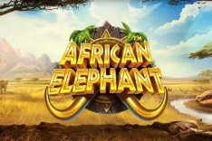 African Elephant