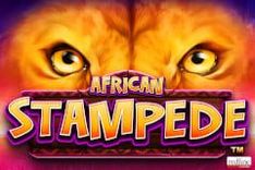 African Stampede