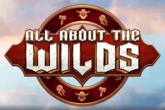 All About the Wilds