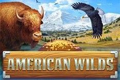 American Wilds