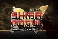 Shiba Mogul