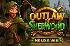Outlaw of Sherwood™