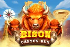 Bison Canyon Run