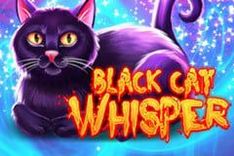 Black Cat Whisper