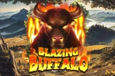 Blazing Buffalo