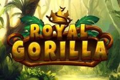 Royal Gorilla