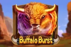 Buffalo Burst