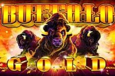 Buffalo Gold