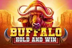 Buffalo Hold and Win