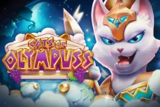 Cats of Olympuss