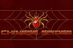 Chinese Spider