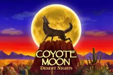 Coyote Moon Desert Nights
