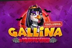 Gallina in Transilvania