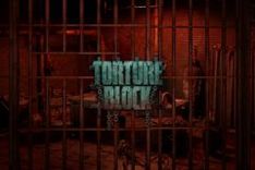 Torture Block