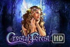 Crystal Forest