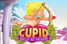 Cupid: Wild at Heart
