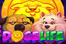 Doge Life