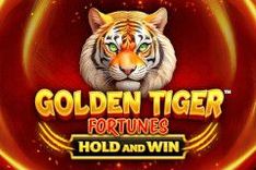 Golden Tiger Fortunes™