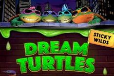 Dream Turtles