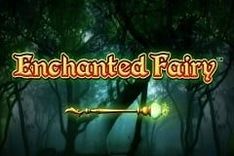 Enchanted Fairy
