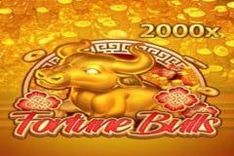 Fortune Bulls
