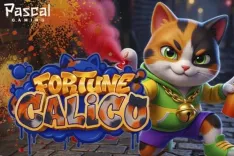 Fortune Calico