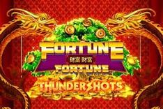 Fortune Fortune Thundershots