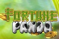 Fortune Panda