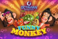 Funny Monkey