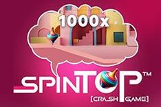 Spin Top