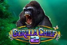 Gorilla Chief 2