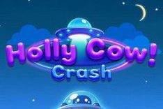 Holly Cow Crash