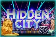 Hidden City