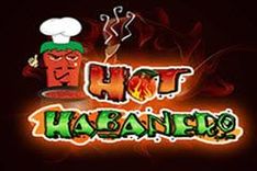 Hot Habanero