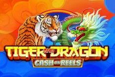 Tiger and Dragon - Cash on Reels