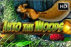 Into the Woods