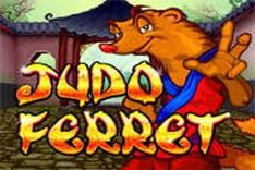 Judo Ferret