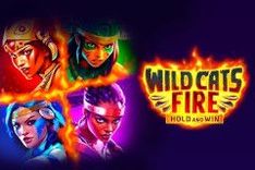 Wild Cats Fire: Hold and Win