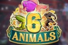 Burmese 6 Animals
