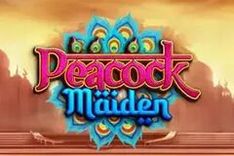 Peacock Maiden